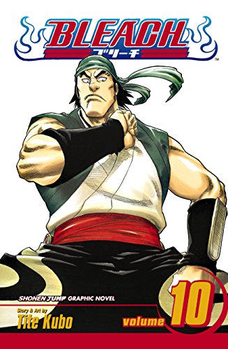 Bleach, Vol. 10: Tattoo on the Sky - Paperback