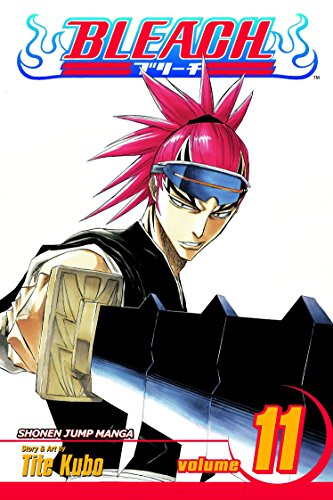 Bleach, Vol. 11: A Star and a Stray Dog - Paperback