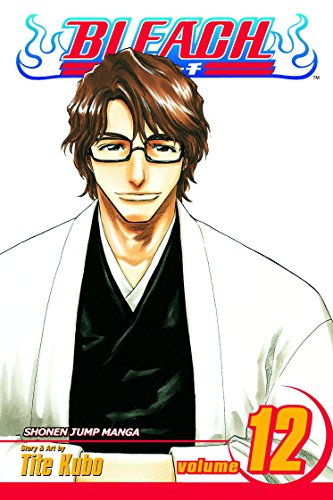 Bleach, Vol. 12: Flower on the Precipice - Paperback