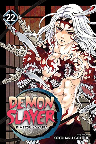 Demon Slayer: Kimetsu No Yaiba, Vol. 22: The Wheel of Fate - Paperback