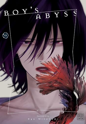 Boy's Abyss, Vol. 13 - Paperback