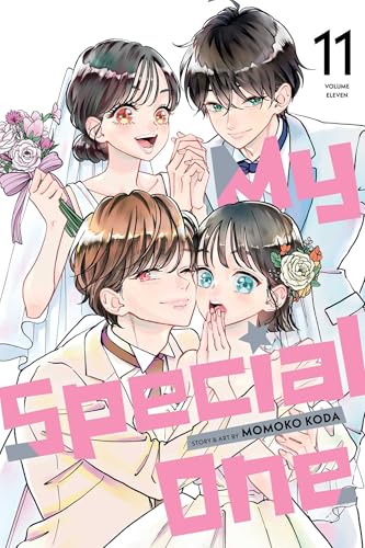 My Special One, Vol. 11 - Paperback