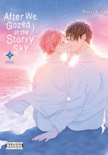 After We Gazed at the Starry Sky, Vol. 3 - Paperback