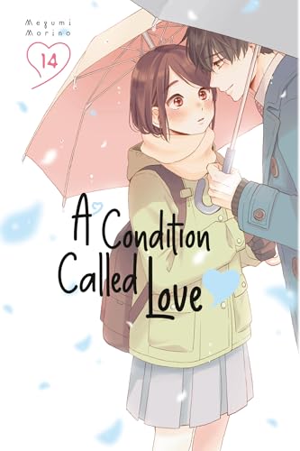 A Condition Called Love 14 - Paperback