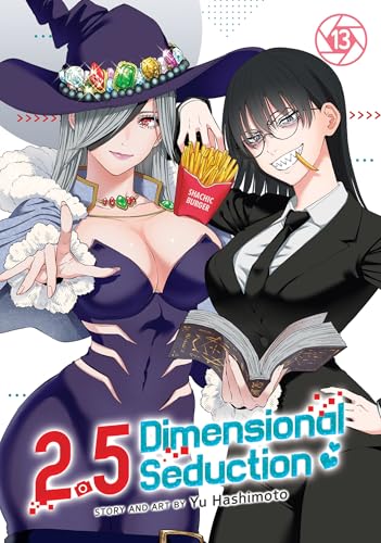 2.5 Dimensional Seduction Vol. 13 - Paperback