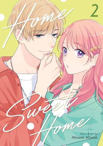 Home Sweet Home Vol. 2 - Minami Mizuno - Paperback                       